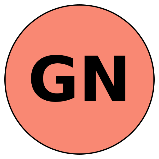 Gossip Novel